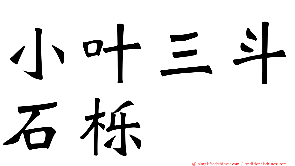 小叶三斗石栎