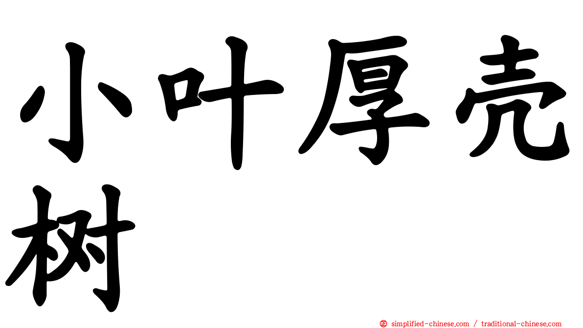 小叶厚壳树