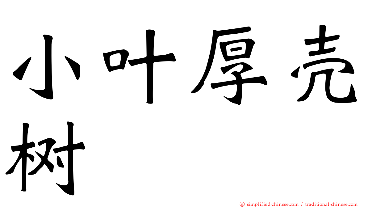小叶厚壳树