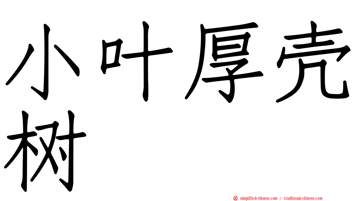 小叶厚壳树