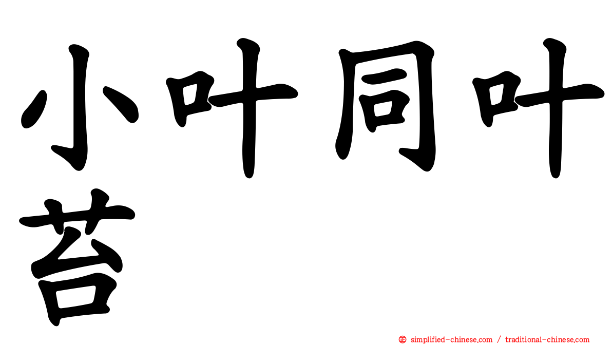 小叶同叶苔