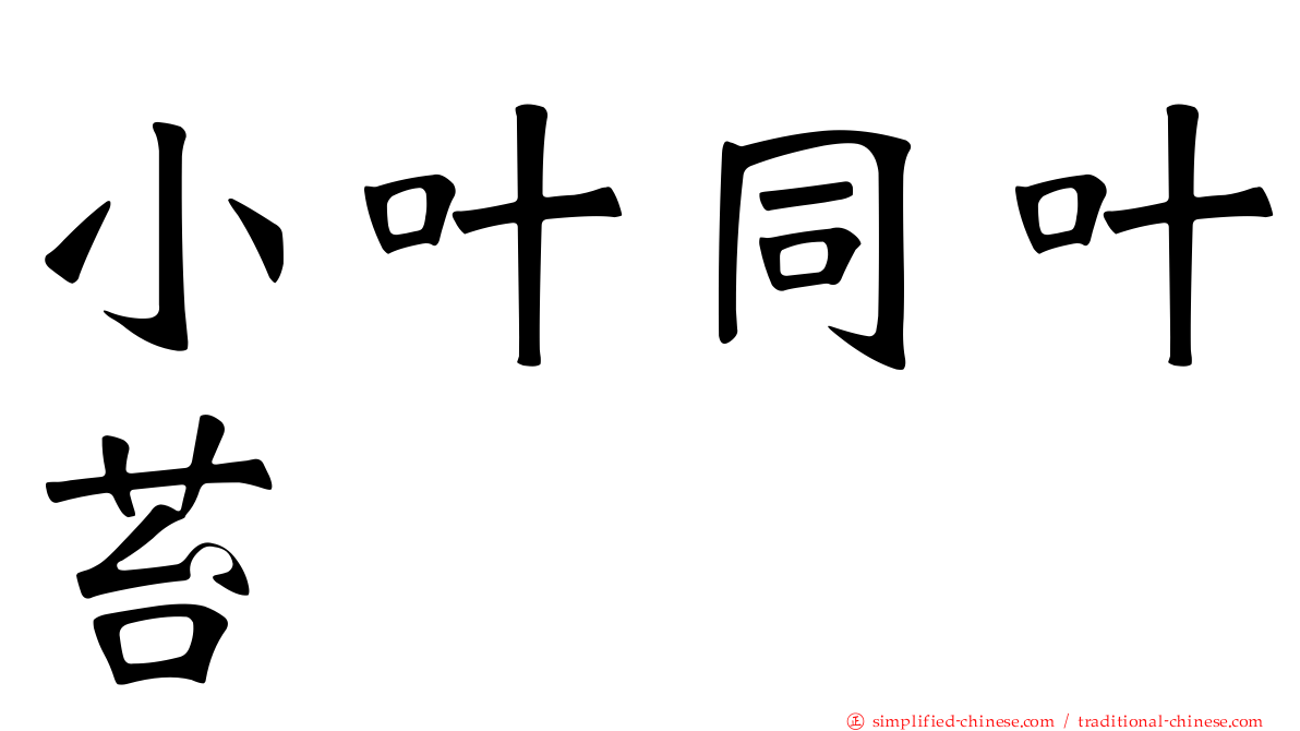 小叶同叶苔