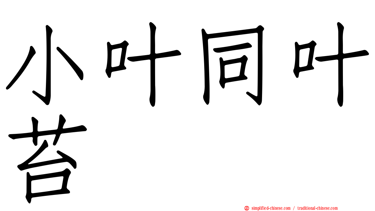 小叶同叶苔