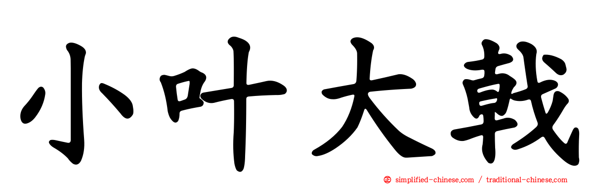 小叶大戟
