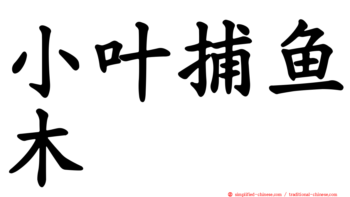 小叶捕鱼木
