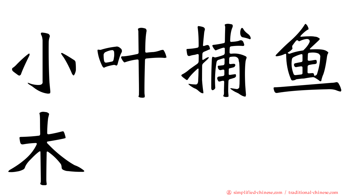 小叶捕鱼木