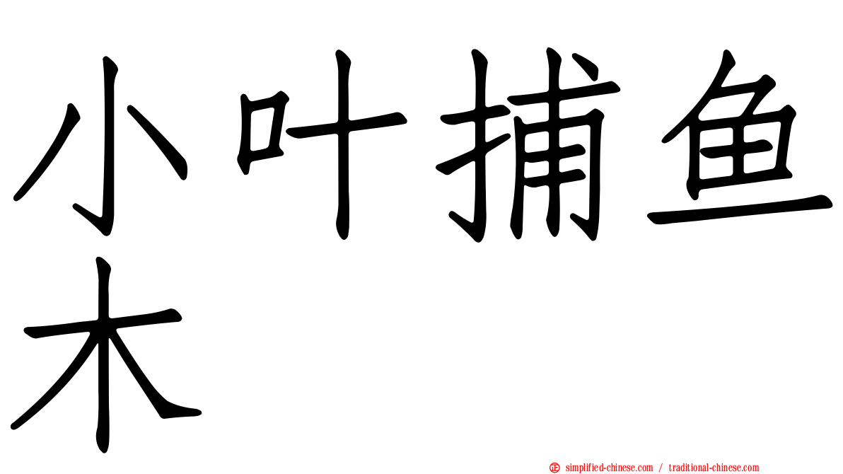 小叶捕鱼木