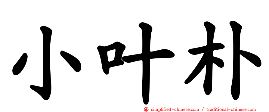 小叶朴