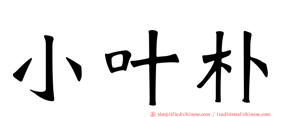 小叶朴