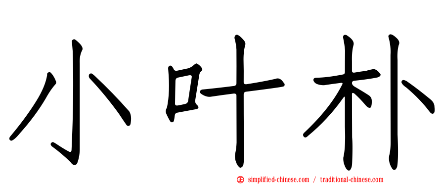 小叶朴