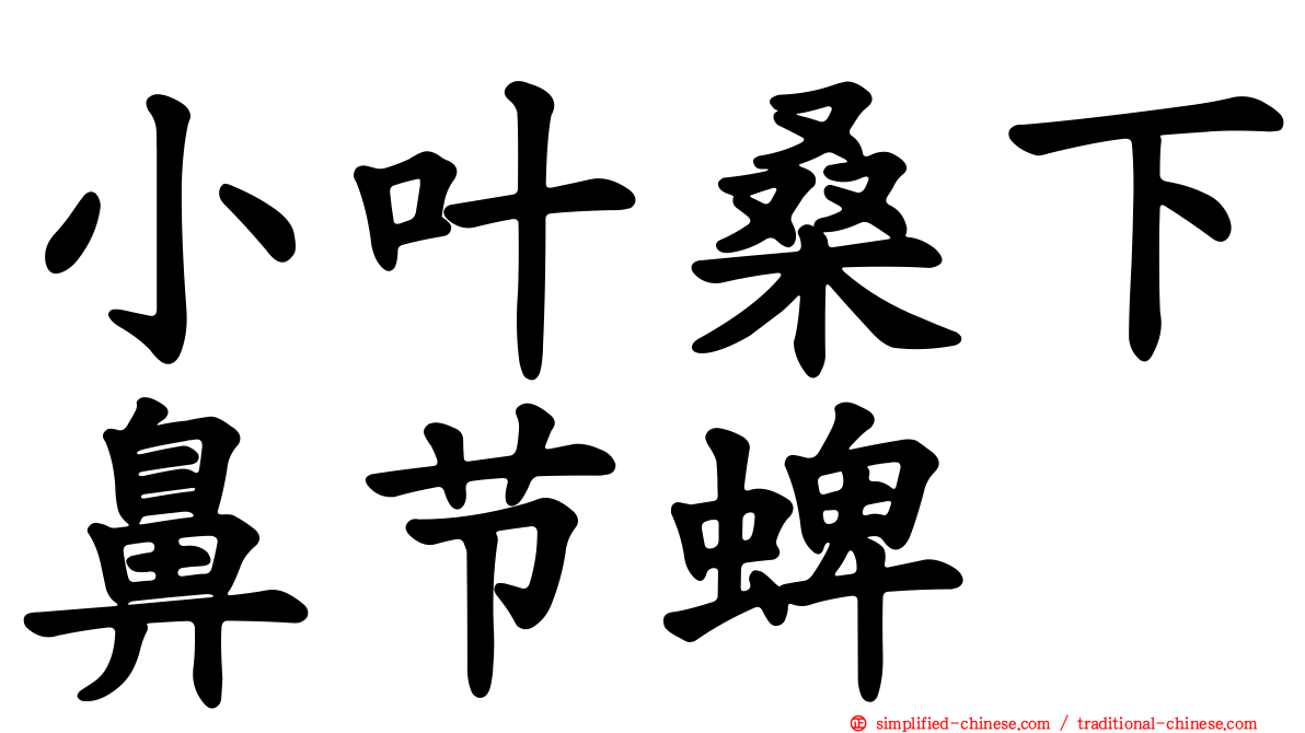 小叶桑下鼻节蜱