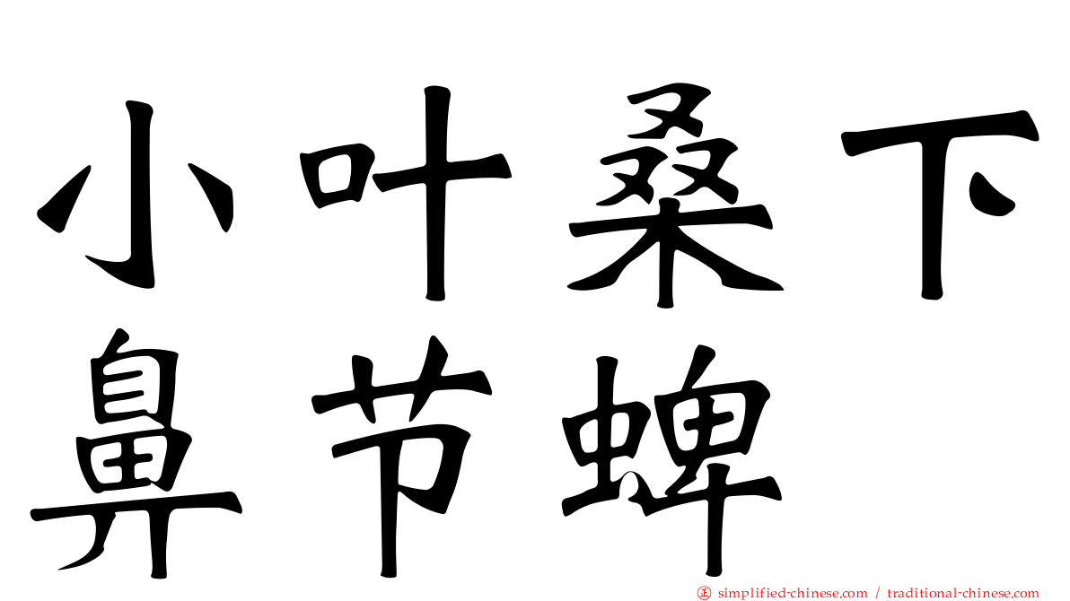 小叶桑下鼻节蜱