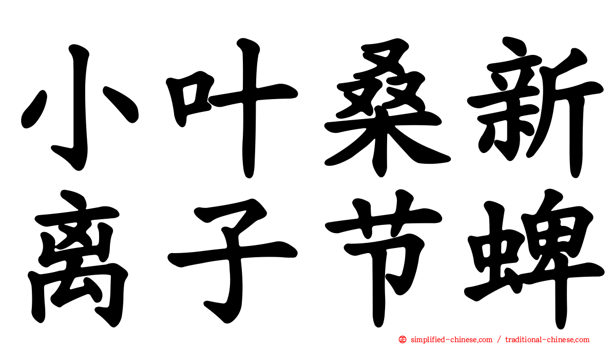 小叶桑新离子节蜱