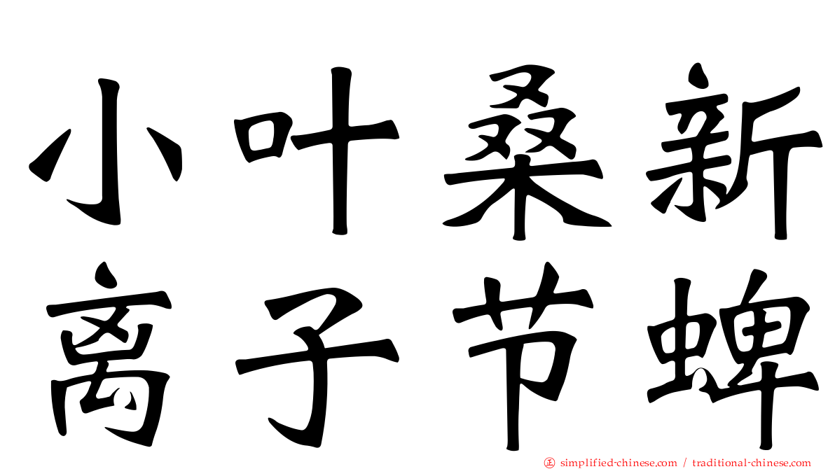 小叶桑新离子节蜱