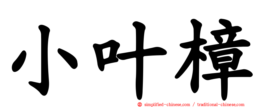 小叶樟