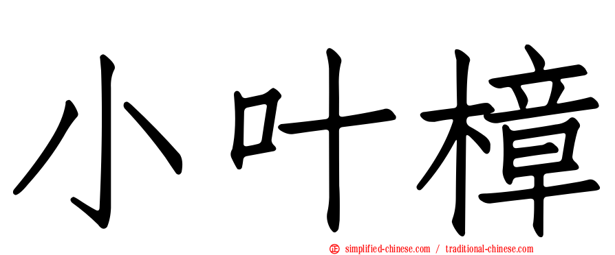 小叶樟