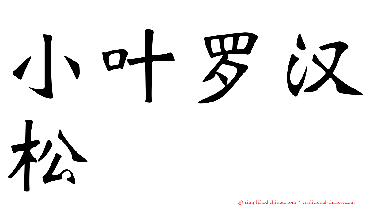 小叶罗汉松