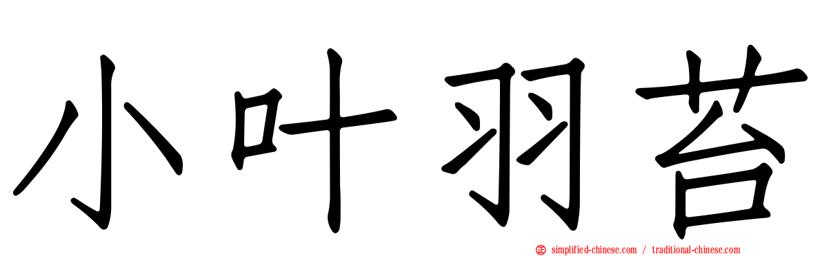 小叶羽苔