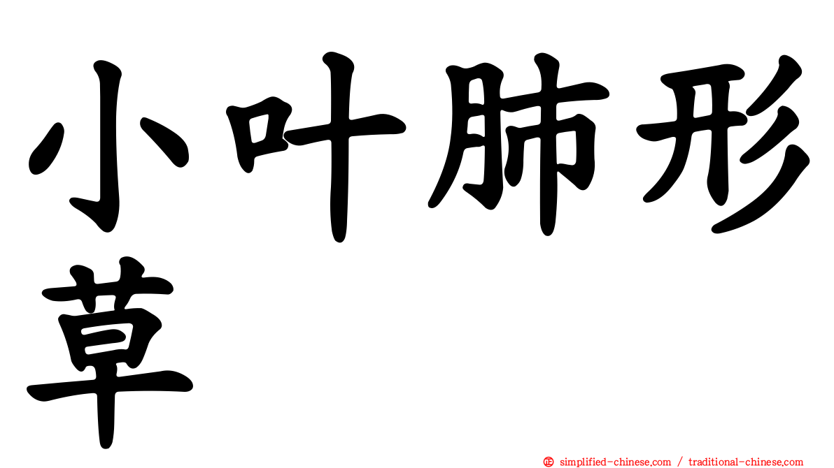 小叶肺形草