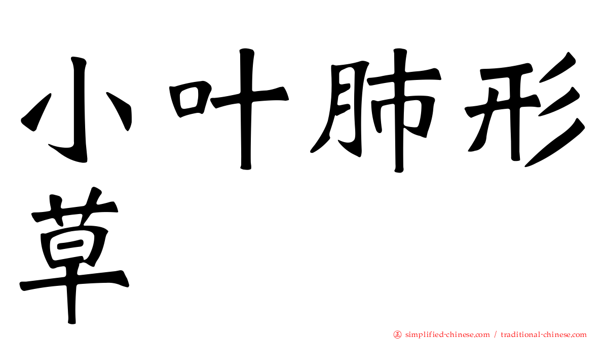 小叶肺形草