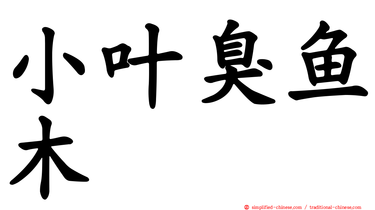 小叶臭鱼木