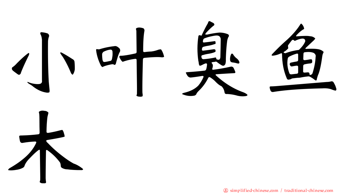 小叶臭鱼木