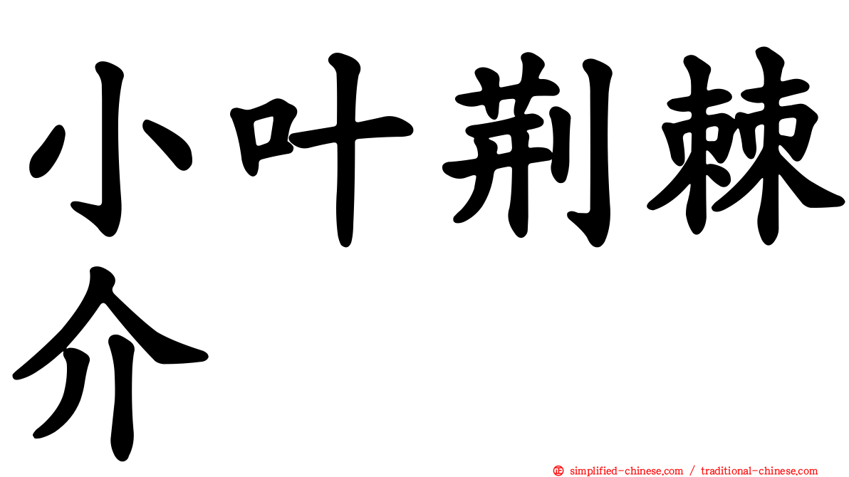 小叶荆棘介