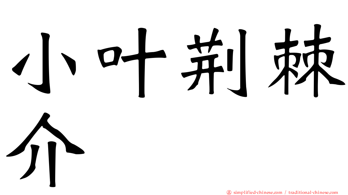 小叶荆棘介