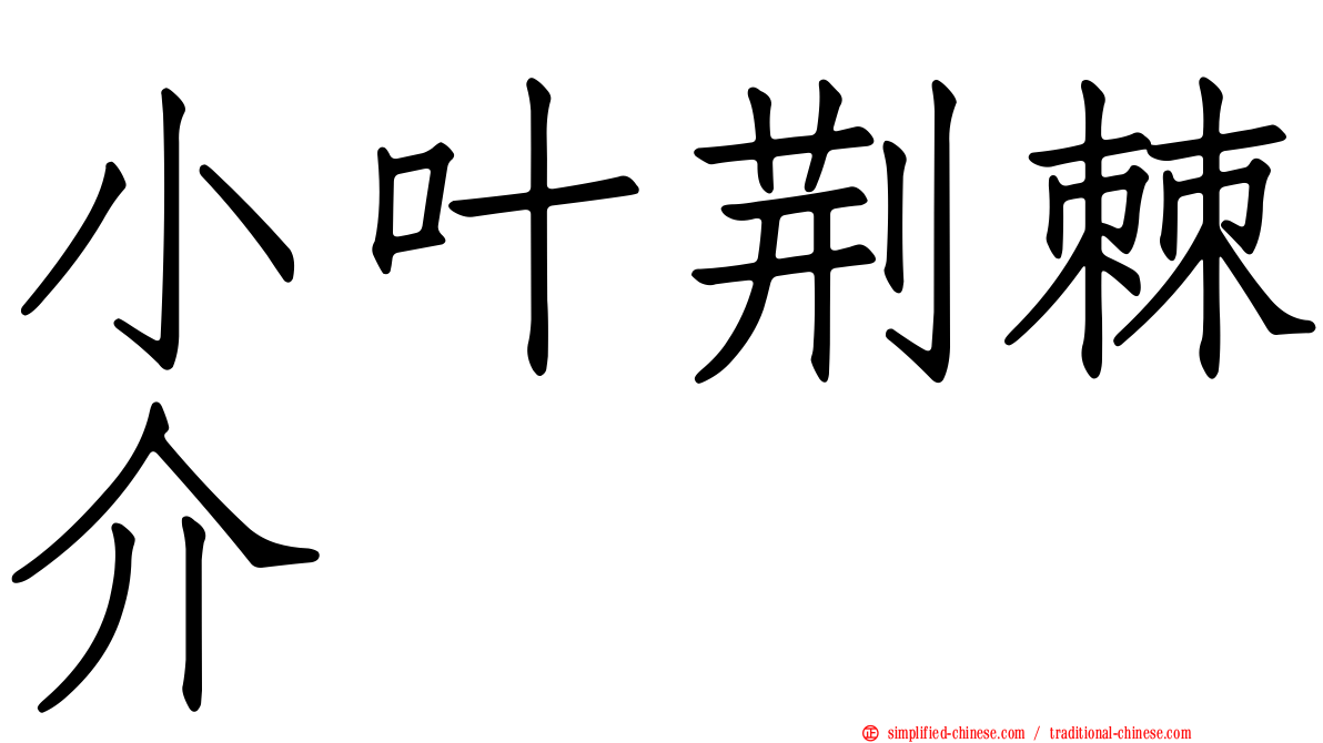 小叶荆棘介