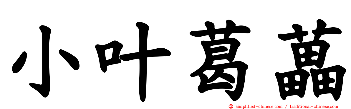 小叶葛藟