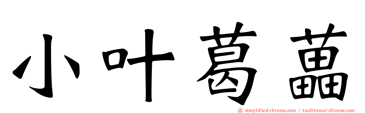 小叶葛藟