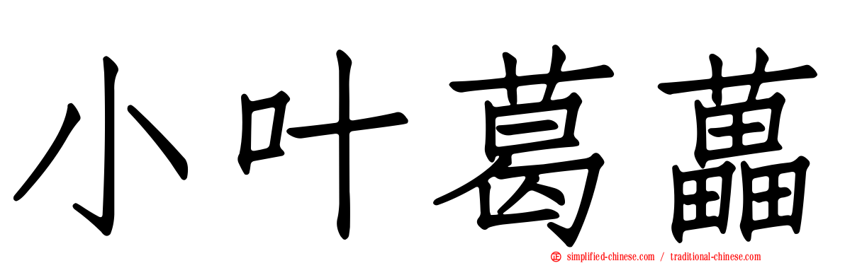 小叶葛藟