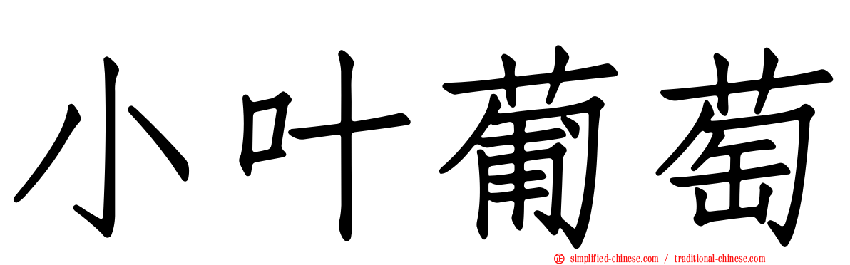 小叶葡萄