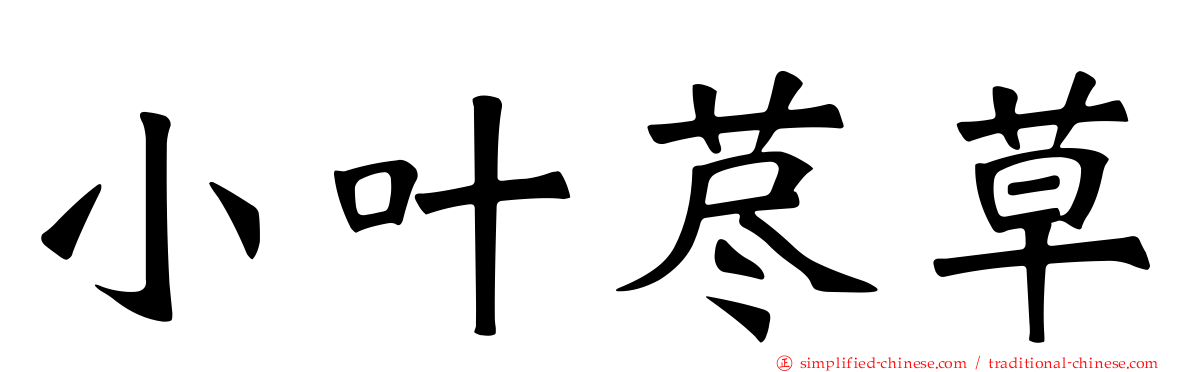 小叶荩草