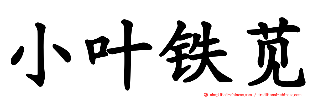 小叶铁苋