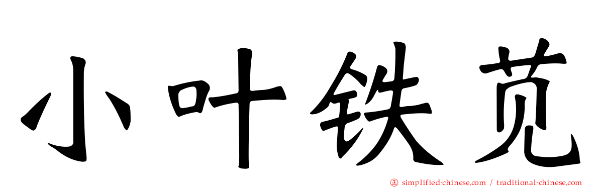小叶铁苋
