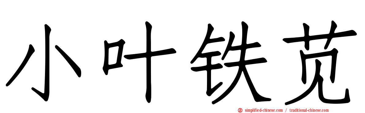 小叶铁苋