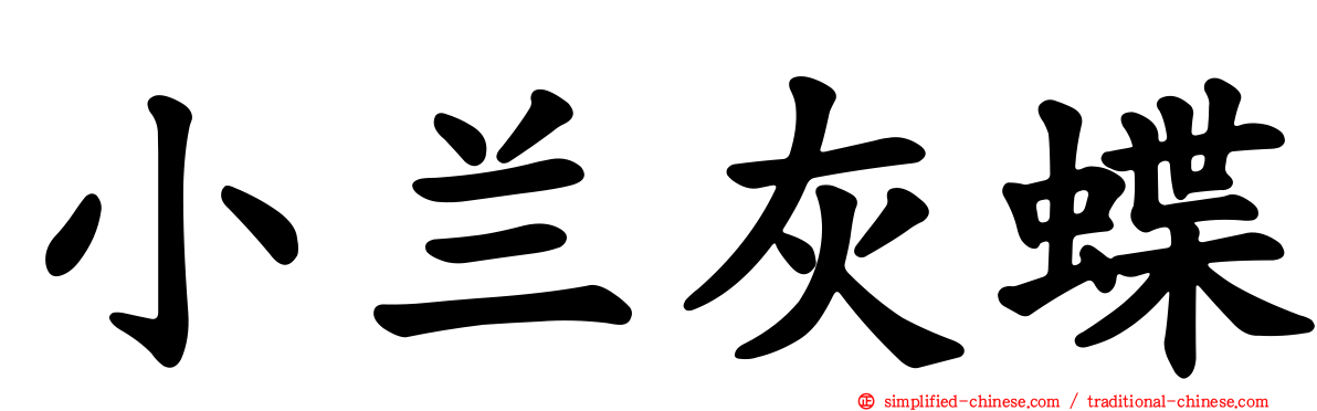 小兰灰蝶