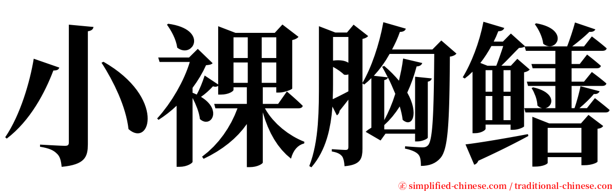 小裸胸鳝 serif font