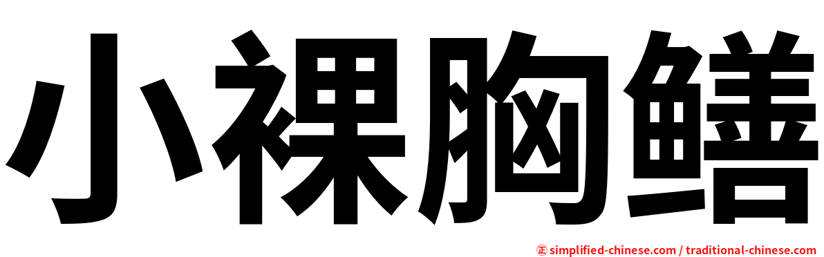 小裸胸鳝