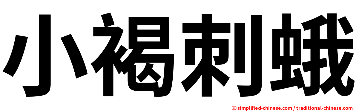 小褐刺蛾
