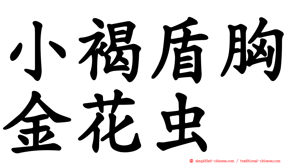 小褐盾胸金花虫