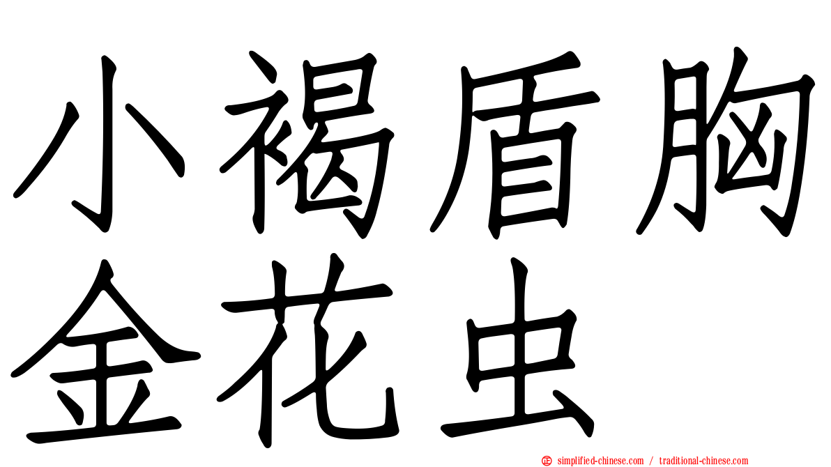 小褐盾胸金花虫