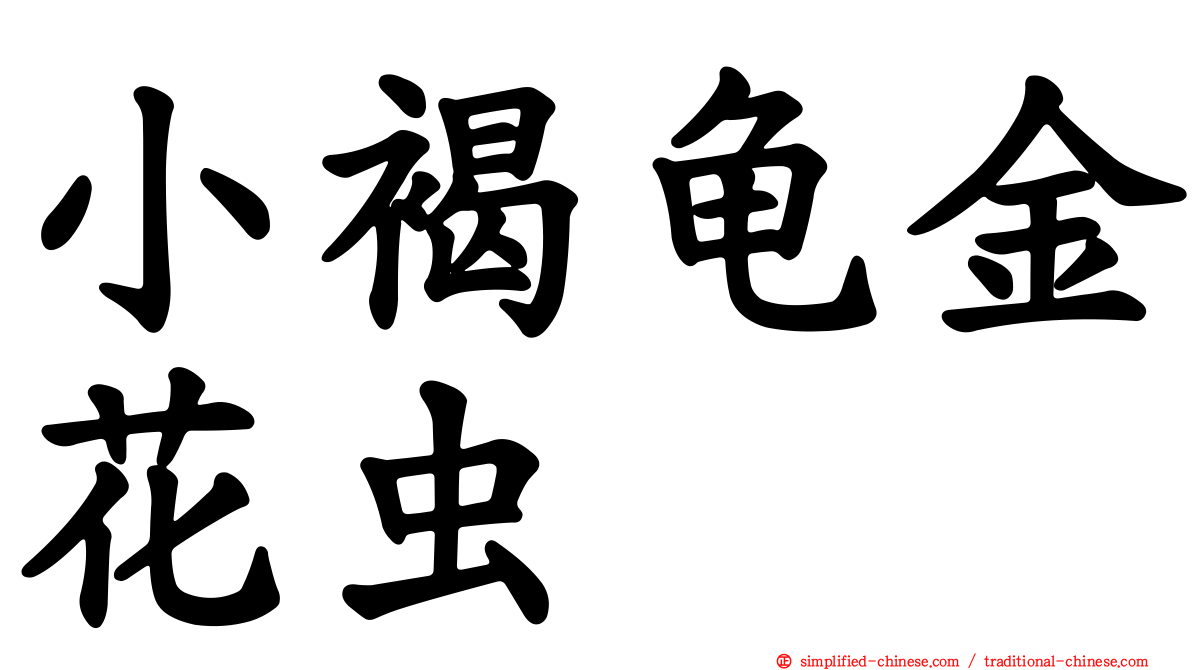 小褐龟金花虫