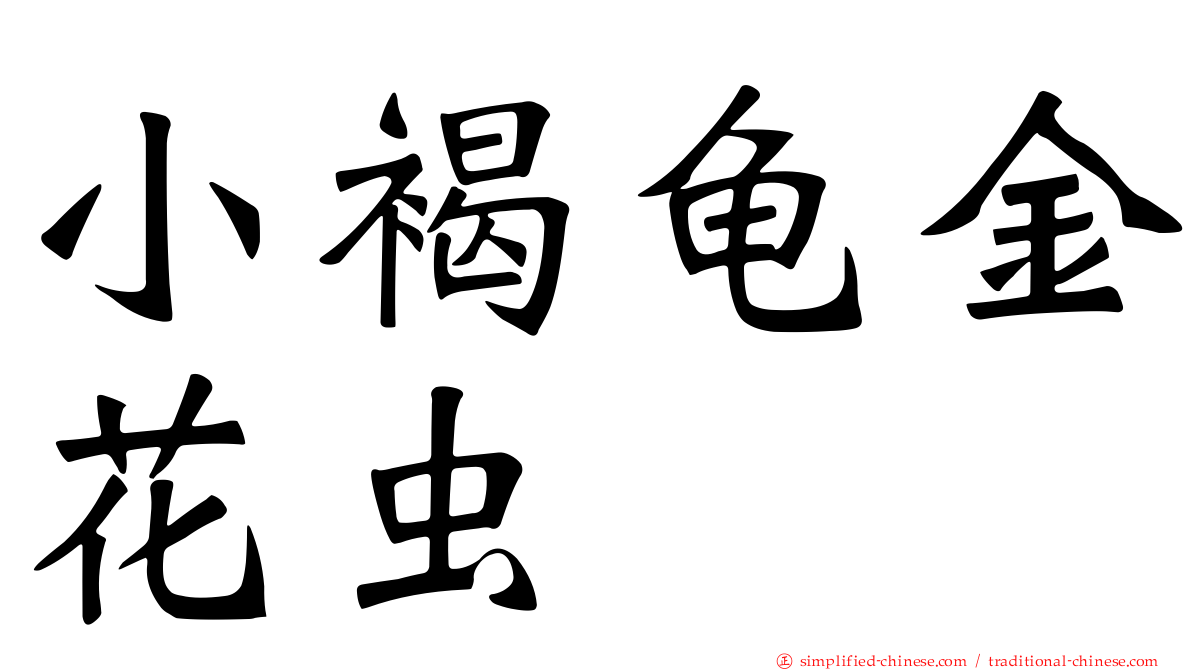 小褐龟金花虫