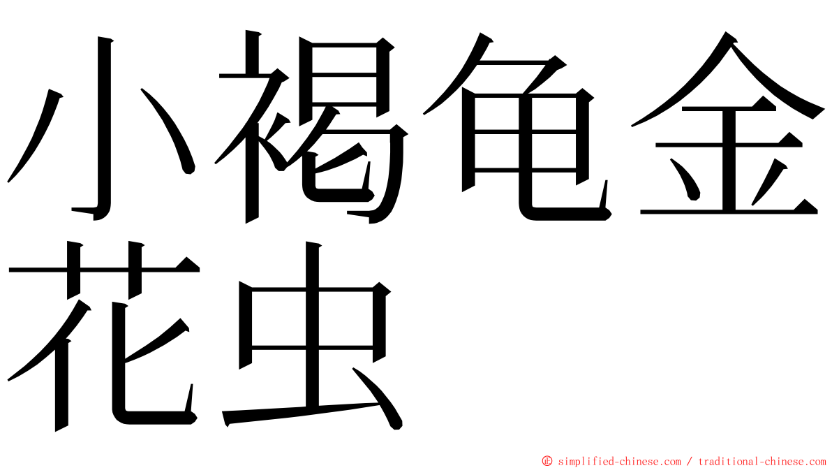 小褐龟金花虫 ming font