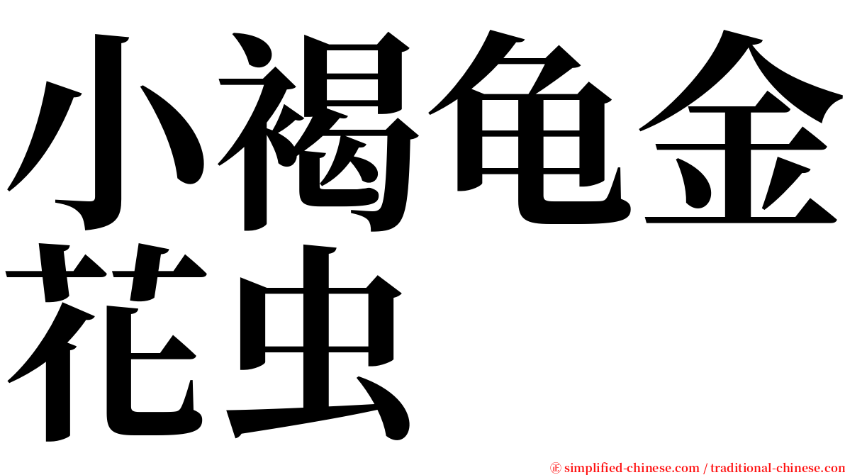 小褐龟金花虫 serif font