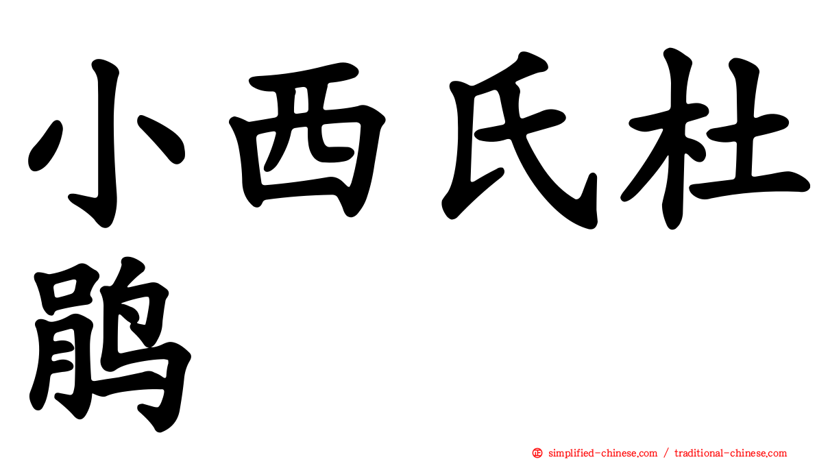 小西氏杜鹃
