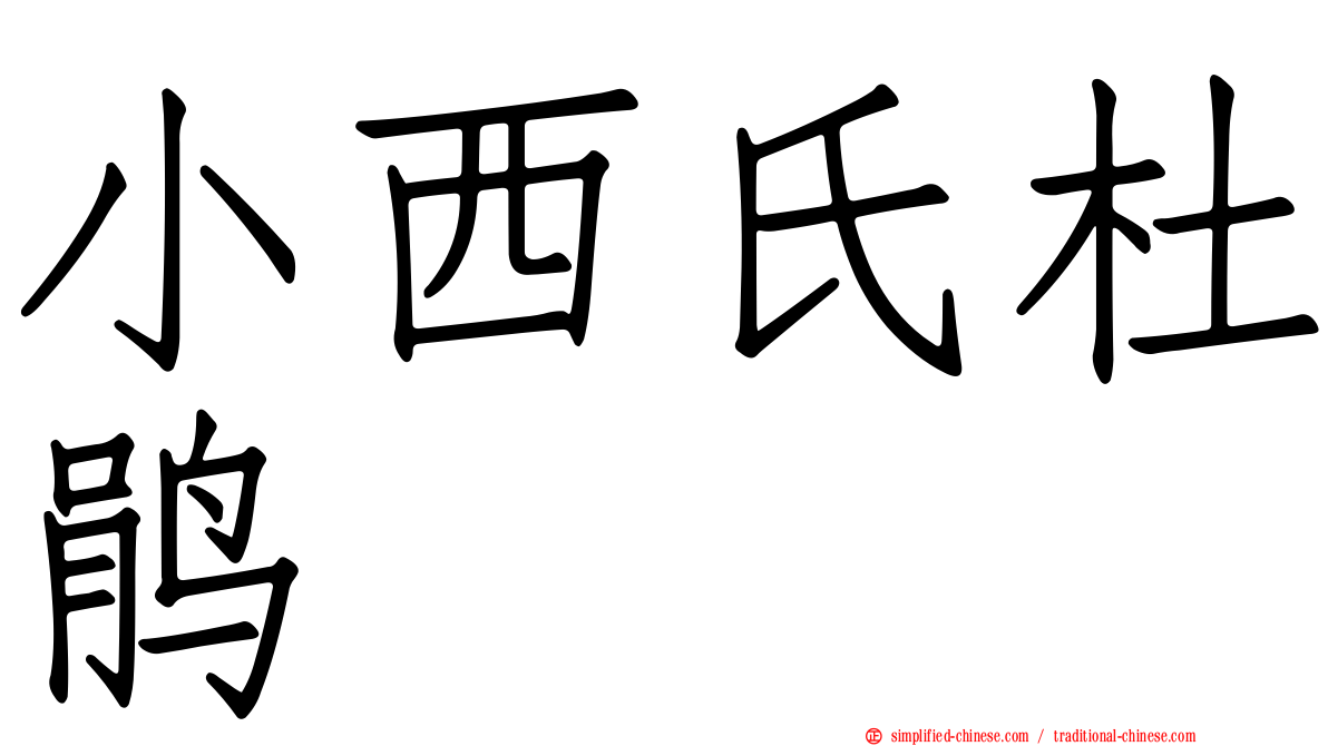 小西氏杜鹃