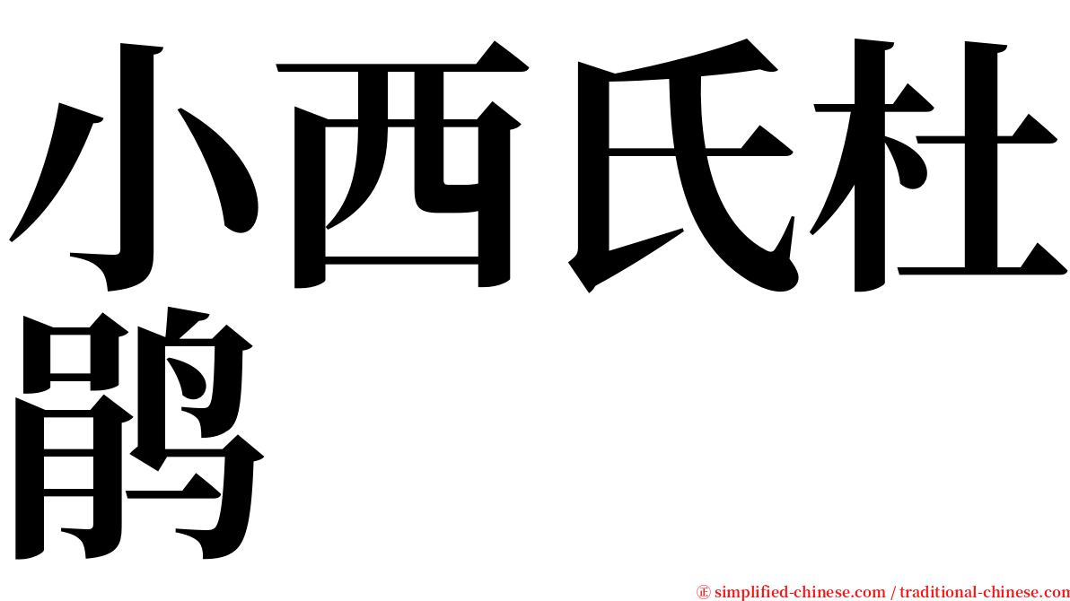 小西氏杜鹃 serif font